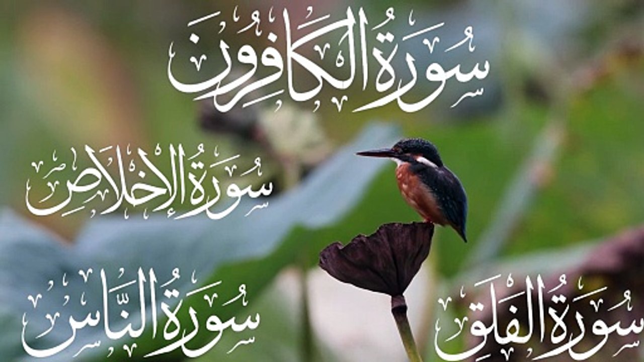 4 Qul | Surah Kafiroon, Ikhlas, Falaq, Naas | Powerful Quran Recitation | Protection & Peace. Abbasi Quran Studio