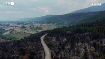 Si aggrava l'emergenza incendi in Patagonia, a fuoco 230 mila ettari