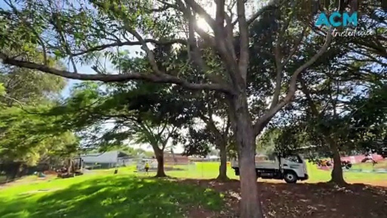 Koala rescue team 'closely monitoring' as preschool construction unfolds
