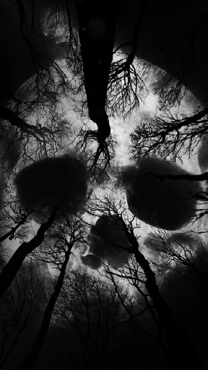 Industrial Darkwave by A.M.O.C