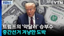 트럼프의 '약달러' 승부수...중간선거 겨냥한 위험한 도박 / YTN