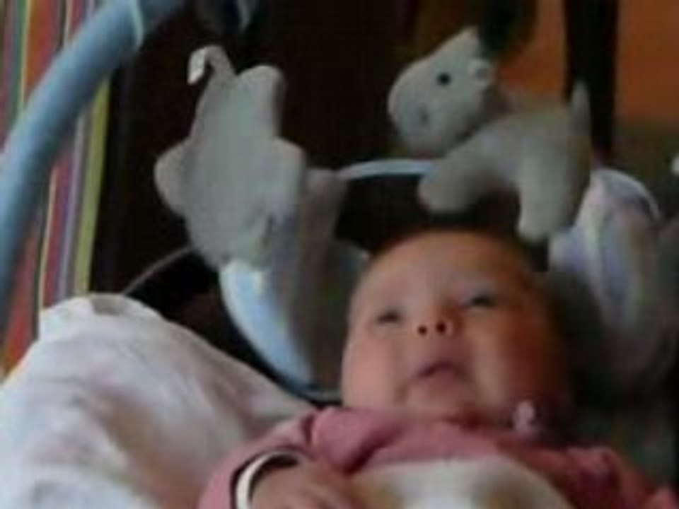 Cléo 7 semaines essaie d'attraper ses peluches...