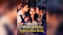 Almas gemelas bajo la luna llena