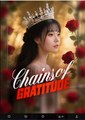 Chains of Gratitude Chinese Drama - English Sub