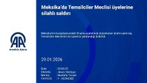 Meksika’da Temsilciler Meclisi üyelerine silahlı saldırı