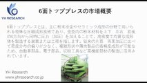 グローバル6面トッププレスのトップ会社の市場シェアおよびランキング 2026