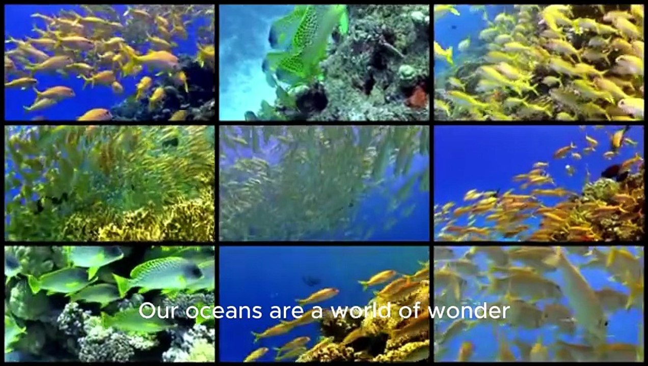 Life under water