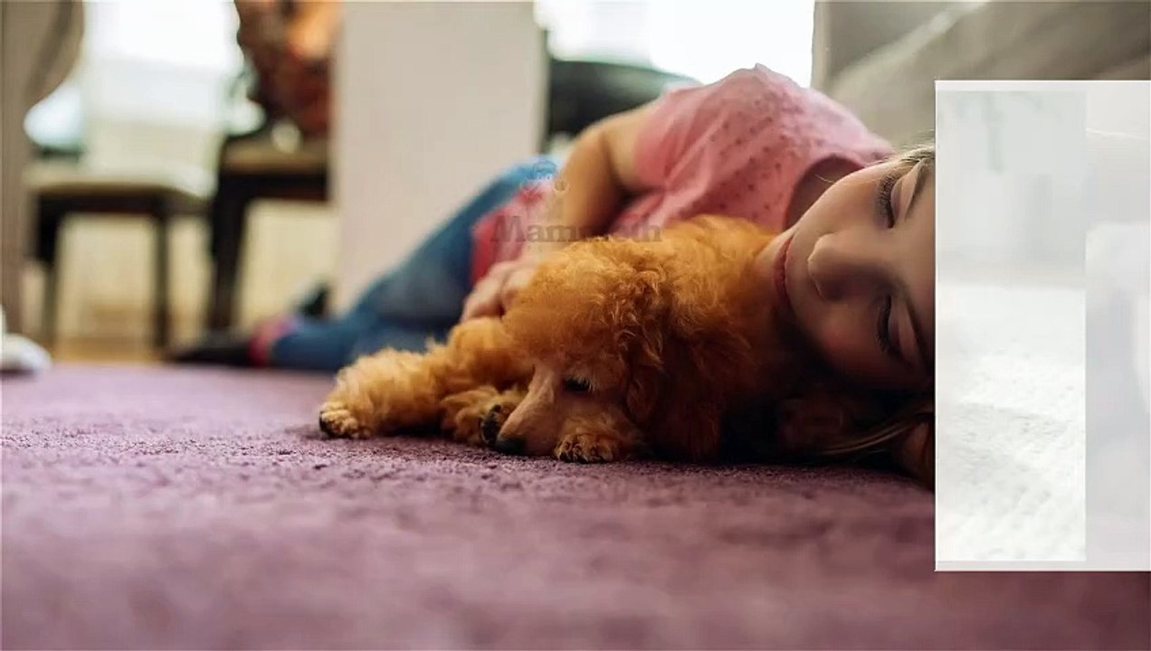 Professional Carpet Cleaning in Edmonds