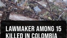 Plane crash in Colombia kills 15, including politician