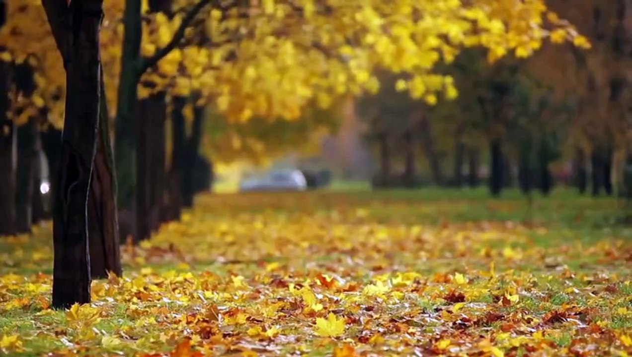 Abundance Meditation Malayalam