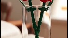 LEGO Roses Building Kit 40460 – Artificial Red Rose Flowers Home Decor Gift Idea Ages 8+
