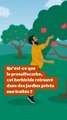 Qu’est-ce que le prosulfocarbe, cet herbicide retrouvé dans des jardins de particuliers ?
