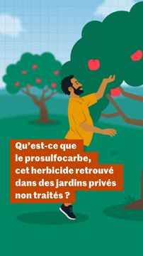 Qu’est-ce que le prosulfocarbe, cet herbicide retrouvé dans des jardins de particuliers ?