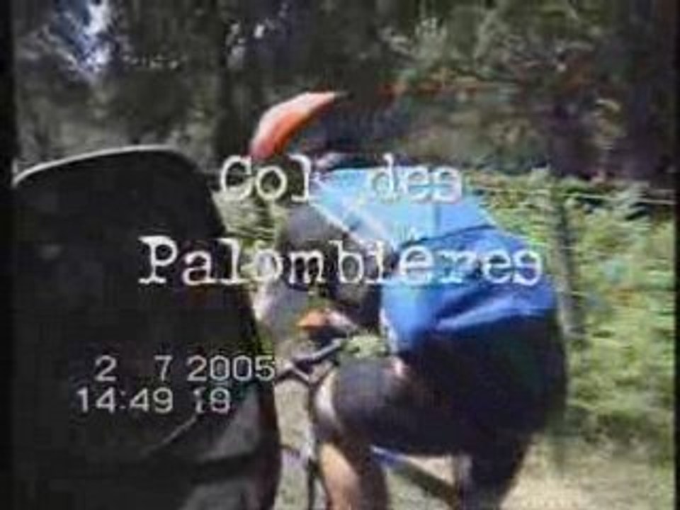 Col des Palombiéres