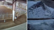 Troppa neve, crolla il tetto dell'arena del rodeo in Arkansas: il momento colto dalle telecamere di sorveglianza