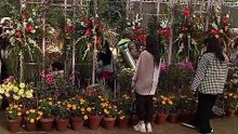 Nature in Full Bloom: Grand Flower Exhibition at Jilani Park!