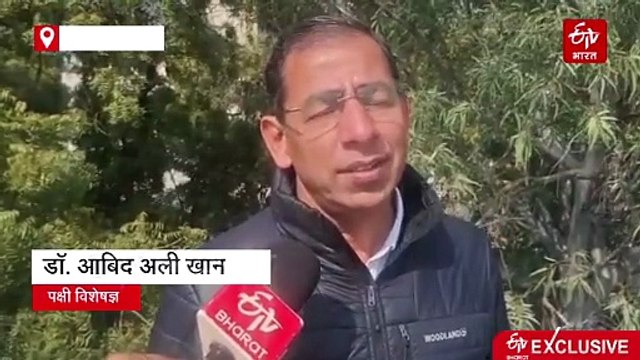 आनासागर झील में खुलेआम हो रहा है प्रवासी पक्षियों का शिकार, वीडियो सामने आने के बाद हरकत में वन विभाग