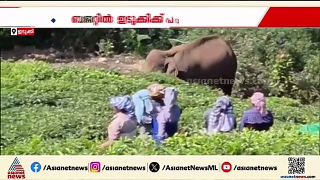 വമ്പൻ ബജറ്റ് പ്രഖ്യാപനത്തിൽ ഇടുക്കിയെ കാര്യമായി പരിഗണിക്കാതെ സർക്കാർ
