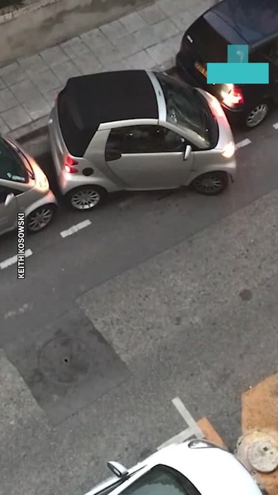 Worst Parallel Parking Skills