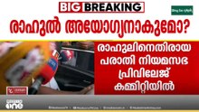 രാഹുൽ മാങ്കുട്ടത്തിൽ അയോ​ഗ്യനാകുമോ? അയോഗ്യനാക്കണമെന്ന പരാതി പരിഗണിക്കും