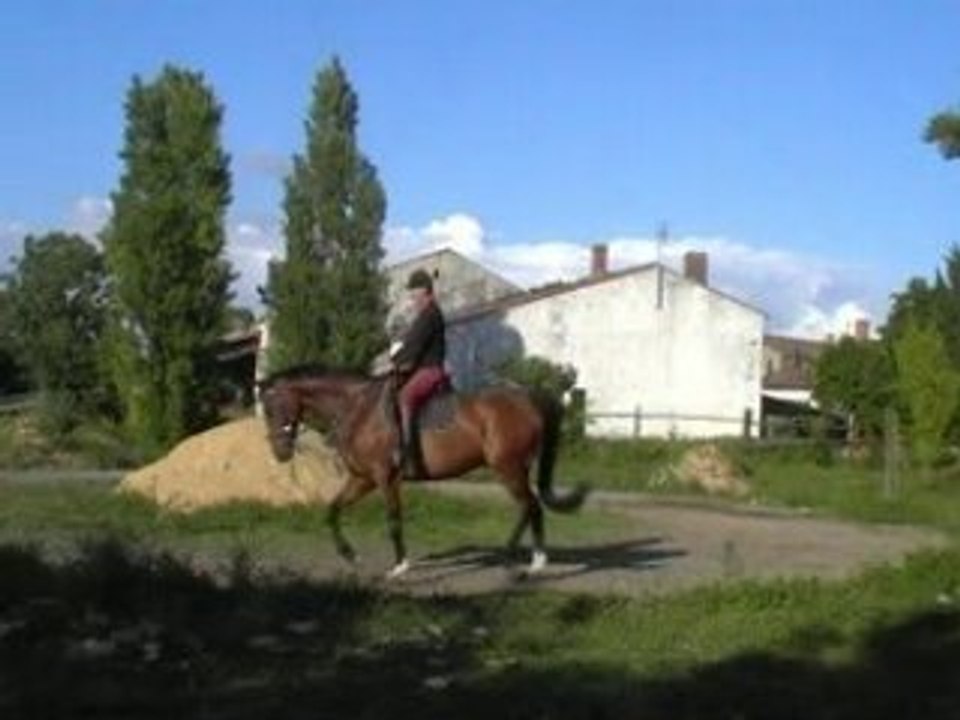 Lo_29-05-08