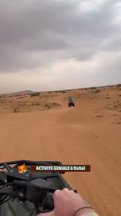 ACTIVITE GENIALE à Dubaï