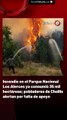 Incendio en el Parque Nacional Los Alerces ya consumió 35 mil hectáreas; pobladores de Cholila alertan por falta de apoyo