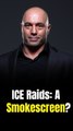 Joe Rogan Suggests Donald Trump Is Using ICE Raids and Fraud Investigations to Distract From Epstein Files Release: 'Some of That's on Purpose'