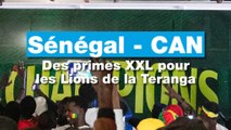 Sénégal - CAN 2025 : des primes XXL pour les Lions de la Teranga