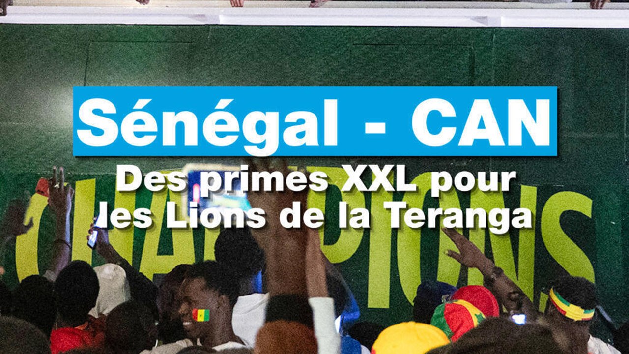 Sénégal - CAN 2025 : des primes XXL pour les Lions de la Teranga