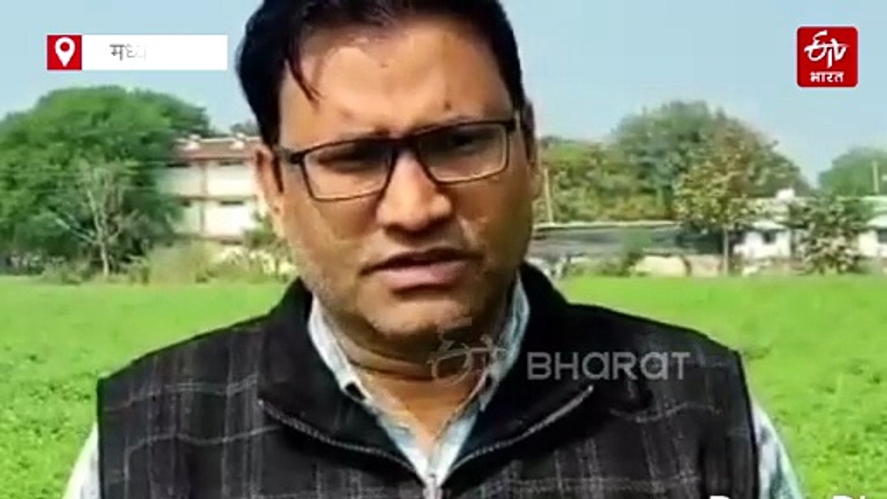 करवट लेगा मौसम, मौसम की मार से ऐसे बचेगी रबी की फसल और सब्जियां, कृषि वैज्ञानिकों ने दी टिप्स