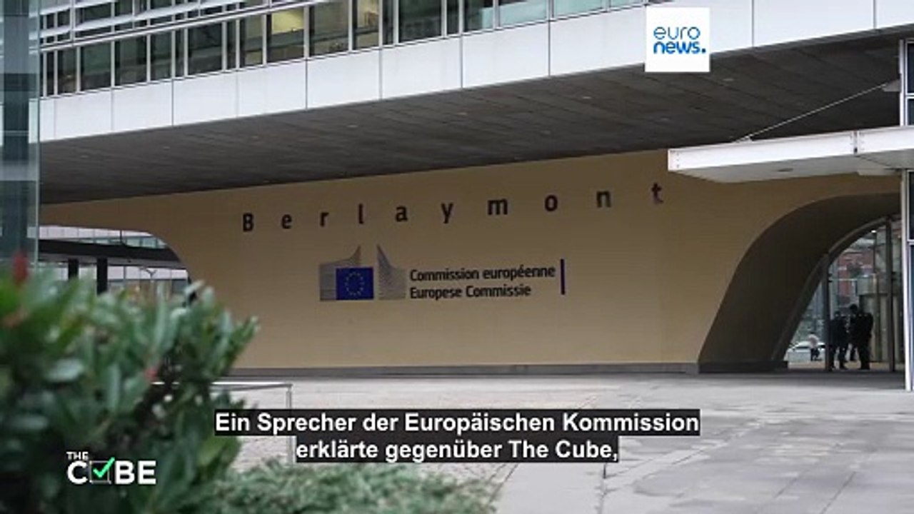 Führt die EU eine eigene Social-Media-Plattform namens 'W' ein?