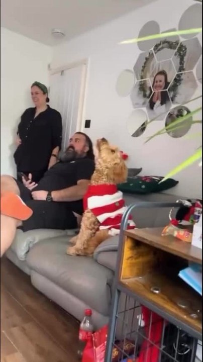Dog Freaks Out When Toy Lizard Drops from Ceiling