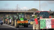 Protesta dei trattori a Roma, in corteo sull'Aurelia