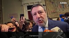 Salvini: "Ice? Ci saranno due tecnici civili"