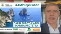 Pecoraro Scanio: passo storico l'area marina protetta di Capri