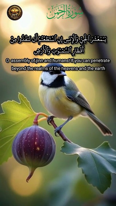 Surah Ar-Rahman (سورة الرحمن) verse33-34