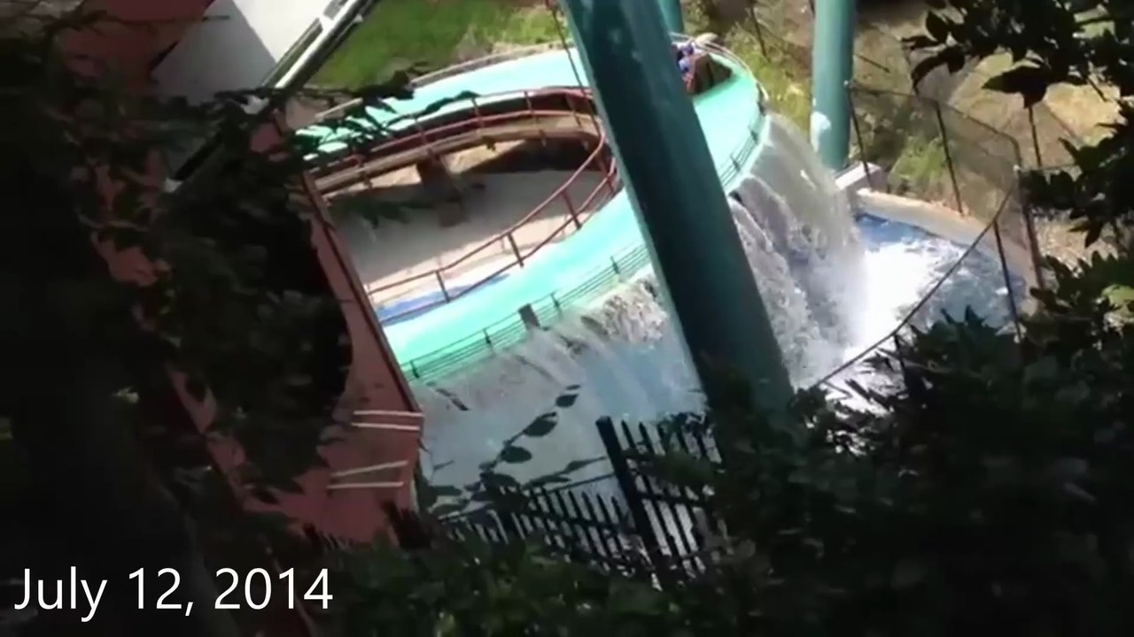 February 14-July 12, 2014: Valentine's Sushi, Family Issues, Busch Garden