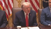 Trump Abruptly Ends Cabinet Meeting, CNN’s Kaitlan Collins Reacts