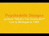 Psychedelic Stooges 1968 with Iggy Pop ~ What's You Gonna Do LIVE (Subscribe to My Channel) Enjoy!