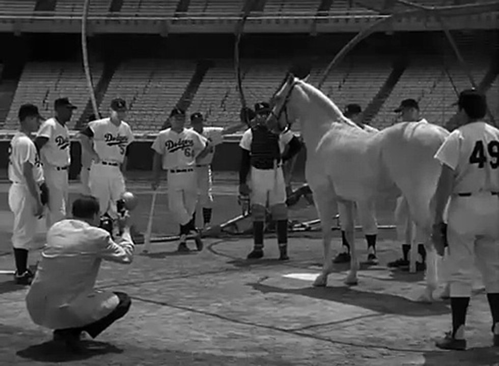 Mister Ed Plays Baseball