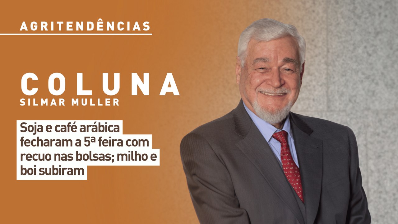 Soja e café arábica fecharam a 5ª feira com recuo nas bolsas; milho e boi subiram