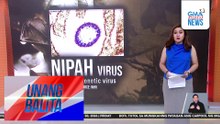 UB EXPLAINER – Ano ang Nipah virus? | Unang Balita