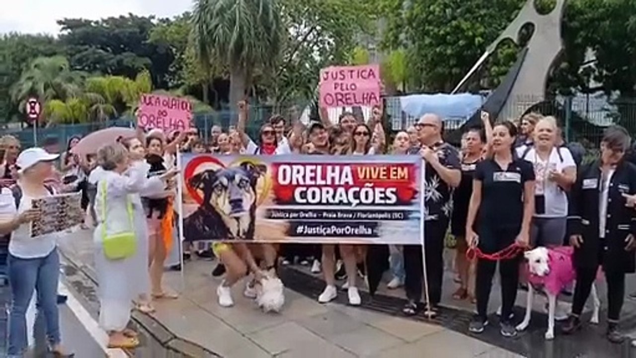 População vai às ruas de Florianópolis em protesto pela morte do cão Orelha: "Justiça"