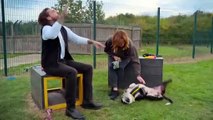 Pete Wicks For Dogs' Sake Season 3 Episode 4