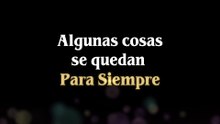 🕊️🌈🐾✨❤️LA CULPA, el peso invisible, que se vive a solas❤️🐾✨🌈🕊️