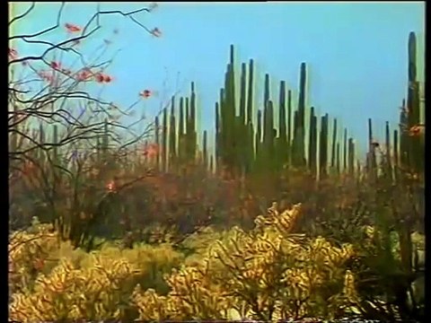 BBC The Wild West Ep 2 Desert Shores of Cortez (Andrew Sachs) (1994)