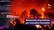 IMPACTO ECONÓMICO ESTELAR | Ganancias económicas por incendios forestales en la Patagonia 29-01-2026