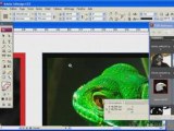 Adobe InDesign CS3 - Adapter les images aux blocs