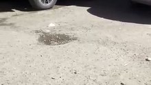 ️ ¿Prefieres pagar o caer en baches? Así luce este estacionamiento en una zona comercial de Durango 🚘💰